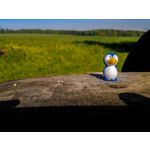 LAS FOTOS HECHAS CON ESTE TELÉFONO