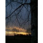 LAS FOTOS HECHAS CON ESTE TELÉFONO