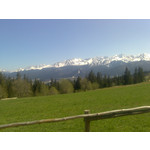 IMAGENS DESTE TELEFONE