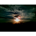 来自这款手机的图片