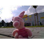 PICTURES FROM THIS PHONE