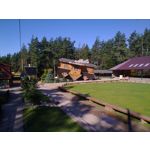 PICTURES FROM THIS PHONE