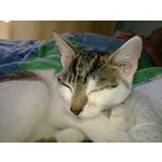 PICTURES FROM THIS PHONE