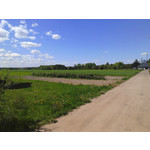 FOTO'S VAN DEZE TELEFOON