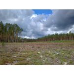 ФОТКИ СНЯТЫЕ ДАННЫМ МОБИЛЬНИКОМ