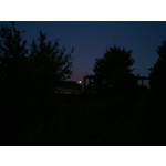 來自這款手機的圖片