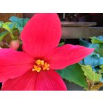 PICTURES FROM THIS PHONE