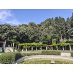 Fotos de usuários Nothing Phone (3) Fotos de usuários Nothing Phone (3)