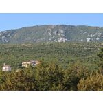 Fotos de usuários Nothing Phone (3) Fotos de usuários Nothing Phone (3)