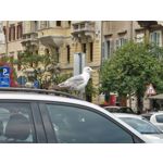 Fotos de usuários Nothing Phone (3) Fotos de usuários Nothing Phone (3)