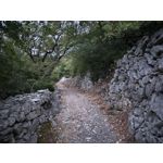 Fotos de usuários Nothing Phone (3) Fotos de usuários Nothing Phone (3)