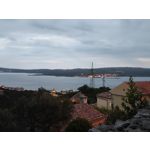 來自這款手機的圖片