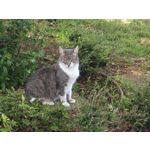 Fotos de usuários Nothing Phone (3) Fotos de usuários Nothing Phone (3)