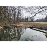 用户照片 Nothing Phone (3a)