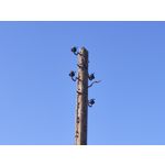 用户照片 Nothing Phone (3a)