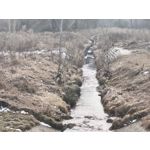 用户照片 Nothing Phone (3a)