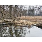 用户照片 Nothing Phone (3a)