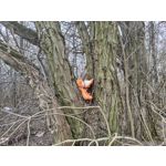 用户照片 Nothing Phone (3a)