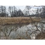 用户照片 Nothing Phone (3a)