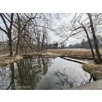 用户照片 Nothing Phone (3a)