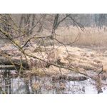 用户照片 Nothing Phone (3a)