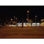 来自这款手机的图片