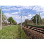 PHOTOS FAITES AVEC CE SMARTPHONE