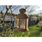 PHOTOS FAITES AVEC CE SMARTPHONE