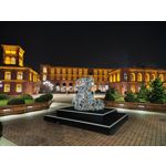 Foto dei utenti Nubia Red Magic 9 Pro+