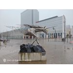 Foto dei utenti Nubia Red Magic 9 Pro+