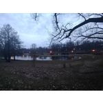 Foto dei utenti Nubia Red Magic 9 Pro+