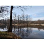 Foto dei utenti Nubia Red Magic 9 Pro+