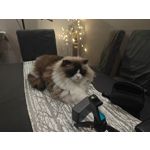 Foto dei utenti Nubia Red Magic 9 Pro+