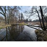 Foto dei utenti Nubia Red Magic 9 Pro+