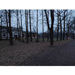 Foto dei utenti Nubia Red Magic 9 Pro+