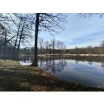 Foto dei utenti Nubia Red Magic 9 Pro+