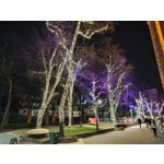 Foto dei utenti Nubia Red Magic 9 Pro+