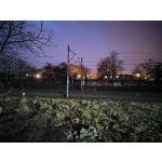 Foto dei utenti Nubia Red Magic 9 Pro+