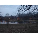 Foto dei utenti Nubia Red Magic 9 Pro+