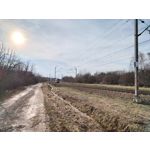 Foto dei utenti Nubia Red Magic 9 Pro+