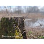 Foto dei utenti Nubia Red Magic 9 Pro+