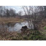 Foto dei utenti Nubia Red Magic 9 Pro+