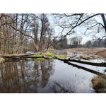 Foto dei utenti Nubia Red Magic 9 Pro+