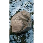 用戶照片 Nubia Z17 Lite