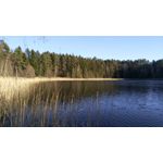 用戶照片 Nubia Z17 Lite