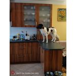 PHOTOS FAITES AVEC CE SMARTPHONE