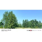 来自这款手机的图片