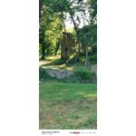 来自这款手机的图片