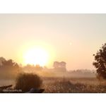 Pictures by this phone Nubia Focus Pro 5G
