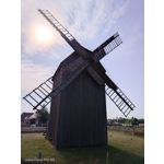 Pictures by this phone Nubia Focus Pro 5G